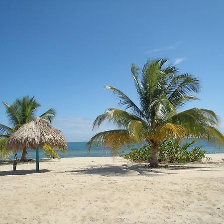 Michelo Suites Placencia Exterior photo